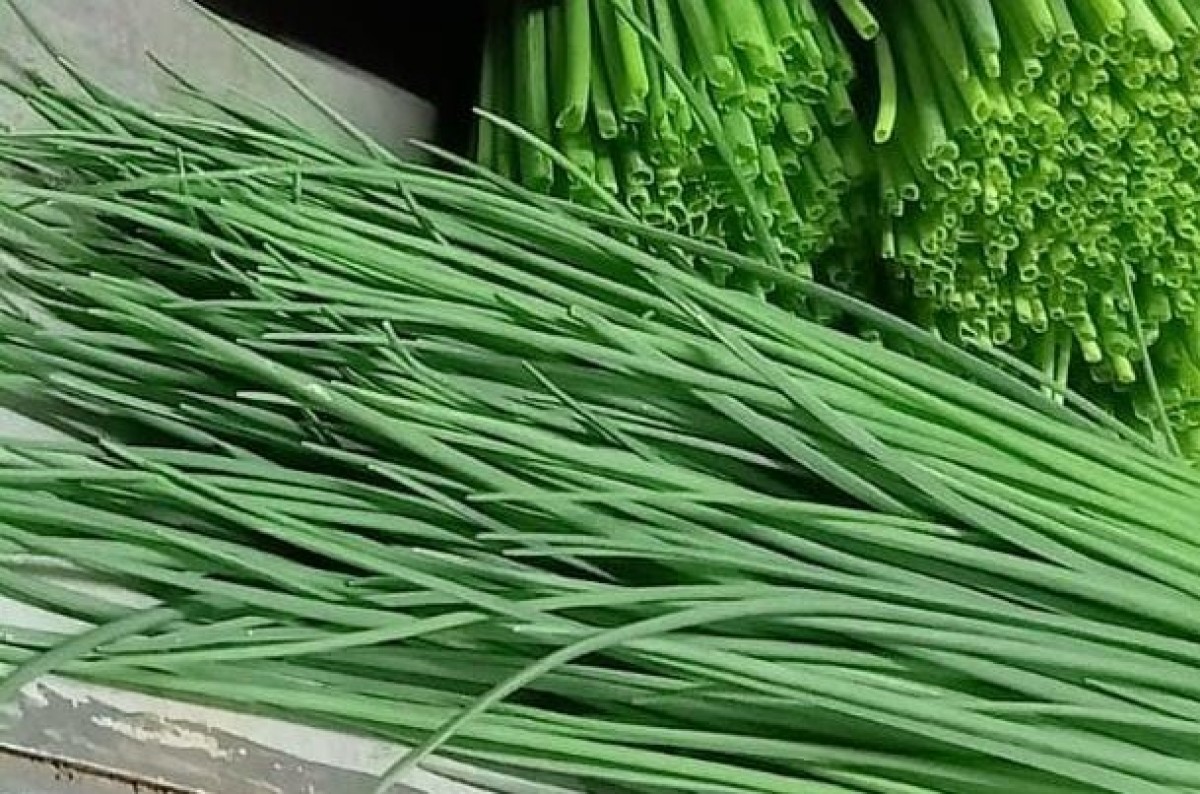 Chives from Kenya